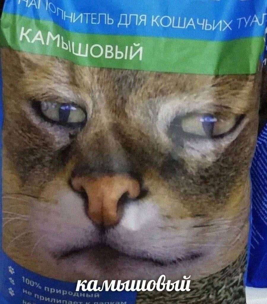 ДЛЯ