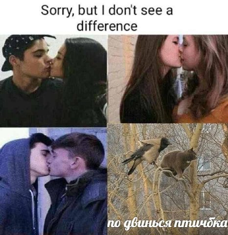 Sorry, but don't see а difference по птичдка