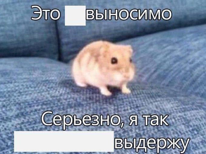 Это Серьезно, я так. держу