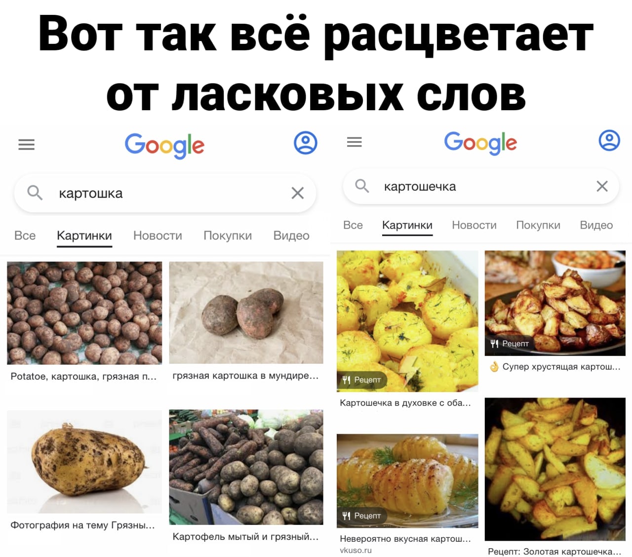 Вот так все расцветает от ласковых слов Google Google картошка а картошечка Все Картинки Новости Покупки Видео Все Новости Картинки Покупки Видео 7? 41 Рецепт Супер хрустящая картош... Potatoe, картош