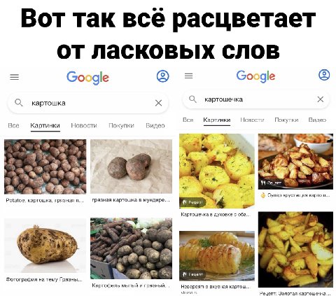 Вот так все расцветает от ласковых слов Google Google картошка а картошечка Все Картинки Новости Покупки Видео Все Новости Картинки Покупки Видео 7? 41 Рецепт Супер хрустящая картош... Potatoe, картош