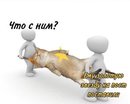 Что с ним? воет
