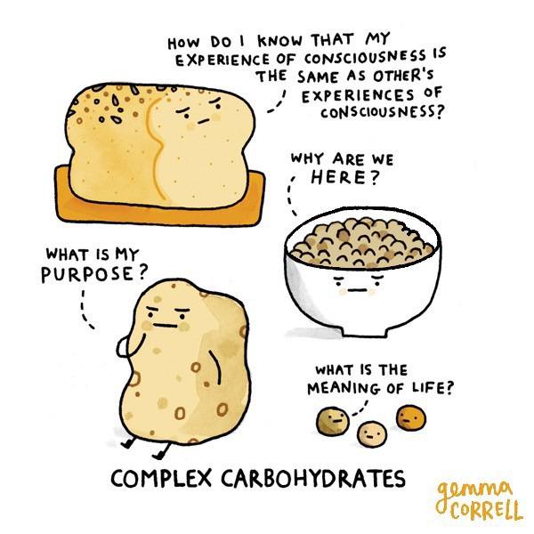 How KNOW THAT MY EXPERIENCE OF CONSCIOUSNESS 15 THE SAME AS OTHER'S EXPERIENCES OF CONSCIOUSNESS? WHY ARE WE HERE? WHAT Is PURPOSE у 9 WHAT IS THE MEANING OF LIFE? COMPLEX CARBOHYDRATES