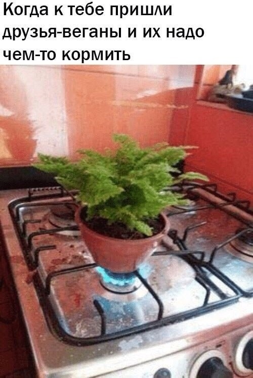 Когда к тебе пришли друзья-веганы и надо чем-то кормить 3