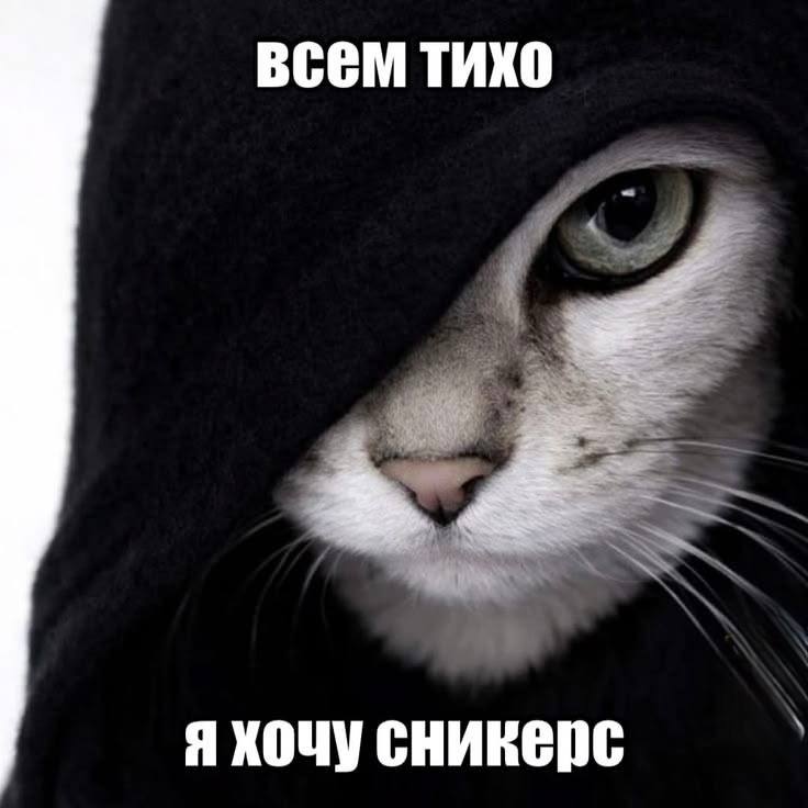 всем тихо Я ХОЧУ СНИКЕрС