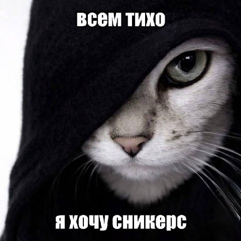 всем тихо Я ХОЧУ СНИКЕрС