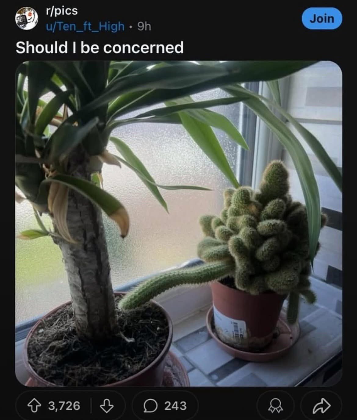 r/pics Should be concerned