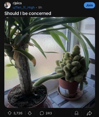 r/pics Should be concerned