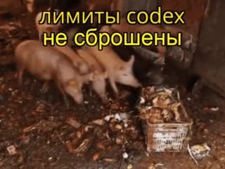 = (бимиты содех | ` несброшены, » не’сброшеных * вне сброшены _~ чнесброшены