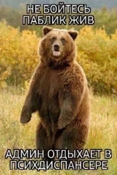 НЕ БОИТЕСЬ ПАБЛИК ЖИВ А ОТДЫХАЕТ. В*