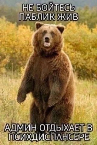 НЕ БОИТЕСЬ ПАБЛИК ЖИВ А ОТДЫХАЕТ. В*
