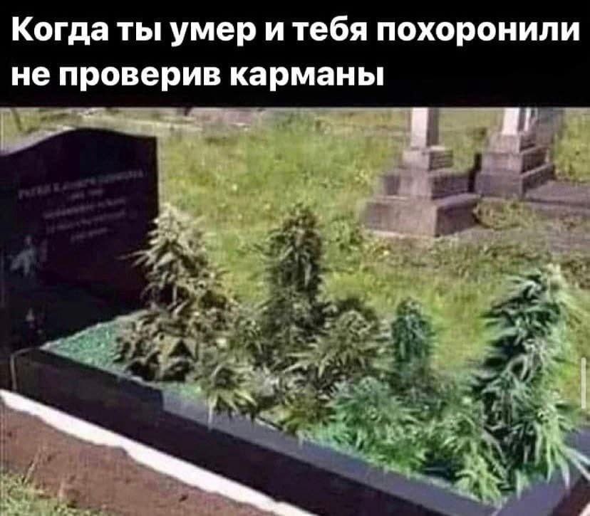 Когда ты умер и тебя похоронили не проверив карманы
