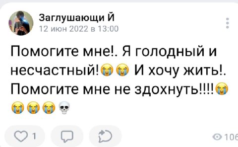 Заглушающи у 12 июн 2022 в 13:00 Помогите MHe!. Я голодный и несчастный! И хочу жить!. Помогите мне не 1