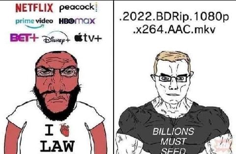 NETFLIX peacock: prime video .2022.BDRip.1080p .x264.AAC.mkv BET+ 1% BILLIONS LAW