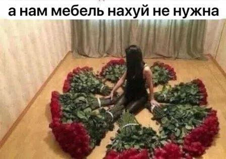 анам мебель нахуй не нужна