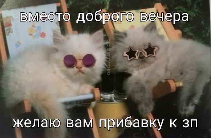 вместо доброго вечера желаю вам прибавку к