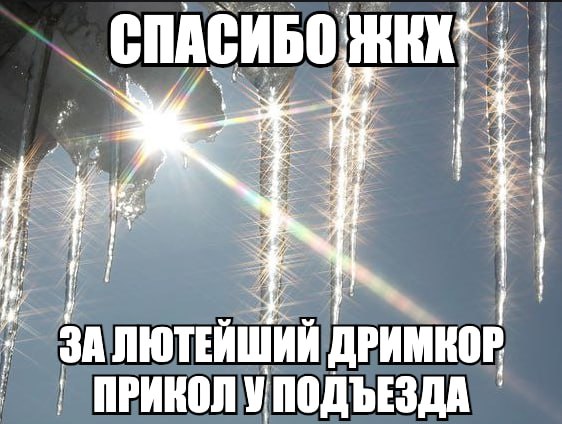 и i, и. ЗАЛЮТЕИШИИ ДРИМКОР i i 4 ПРИКОЛУПОДЪЕЗДА у