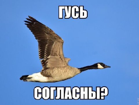 исторический момент