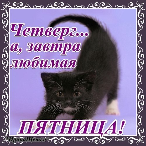 /4 Четверг... а, завтра любимая