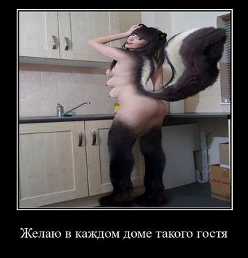 Желаю в каждом доме такого гостя
