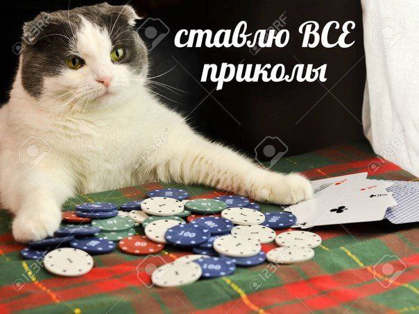 ставлю BCE приколы