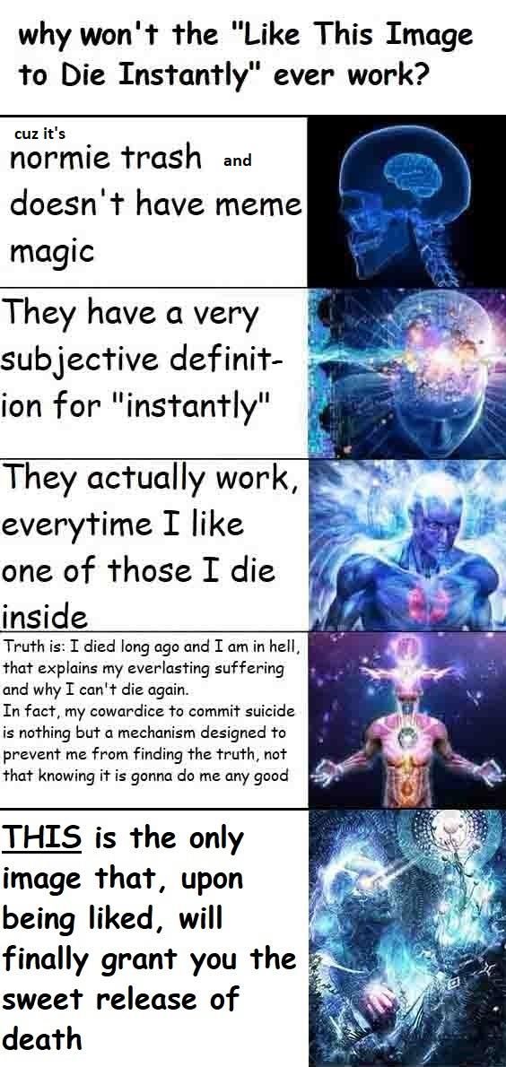 why won't the "Like This Image to Die Instantly" ever work? cuz it's normie trash and doesn have meme magic They Йауе а уегу subjective definit- ion for "instantly" They actually work, everytime I lik
