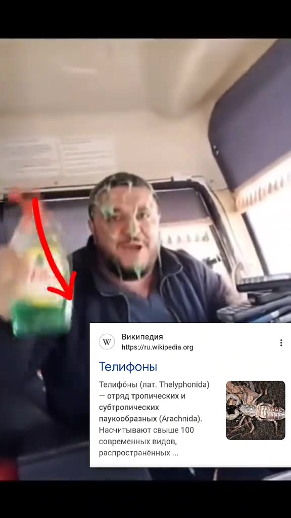 wy) Википедия 5 https://ru.wikipedia.org ы Телифоны Телифбны (лат. Тпеурпопча) @ — отряд тропических и ря я субтропических Я. = паукообразных (Arachnida). " a Насчитывают свыше 100 современных видов,