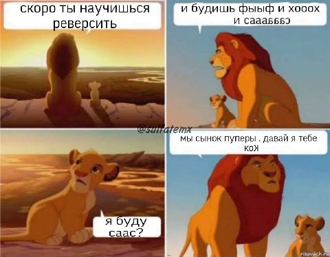 скоро ты научишься и будишь фыыф и хооох реверсить и мы сынок пуперы даваи я тебе саас?
