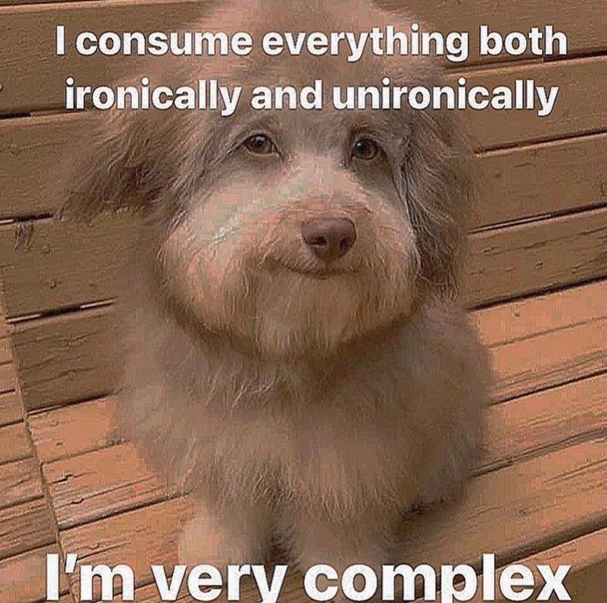 consume everything both ironically and unironically verv complex