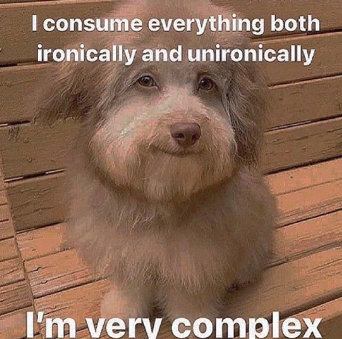 consume everything both ironically and unironically verv complex