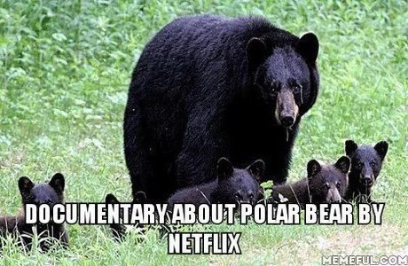 4 DOCUMENTARY. NET FLIX