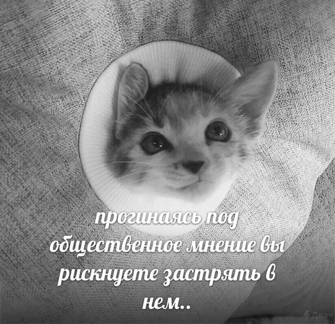 про общ рискнцете застрять 6 нелм..
