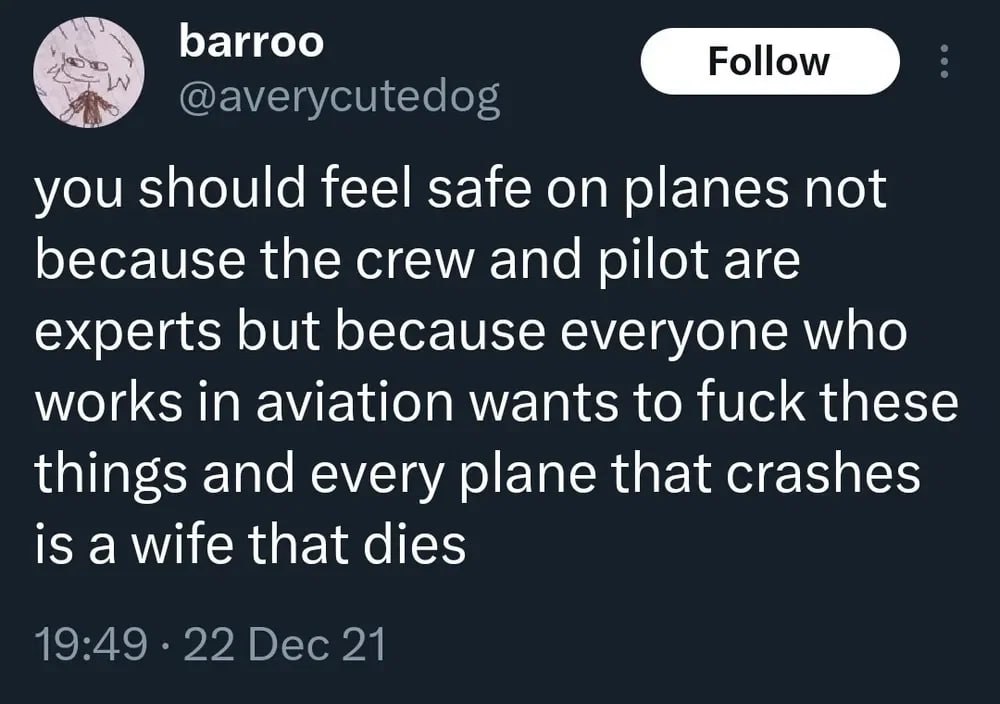Баггоо you should feel safe on planes not because the crew and pilot are experts but because everyone who works in aviation wants to fuck these things and every plane that crashes is a wife that dies