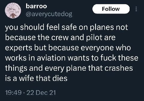 Баггоо you should feel safe on planes not because the crew and pilot are experts but because everyone who works in aviation wants to fuck these things and every plane that crashes is a wife that dies