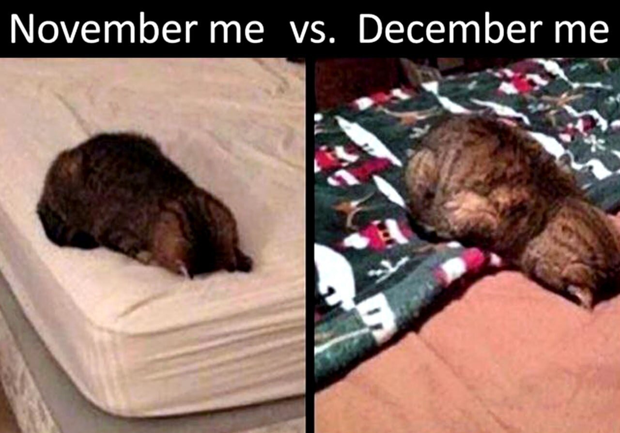 November me December