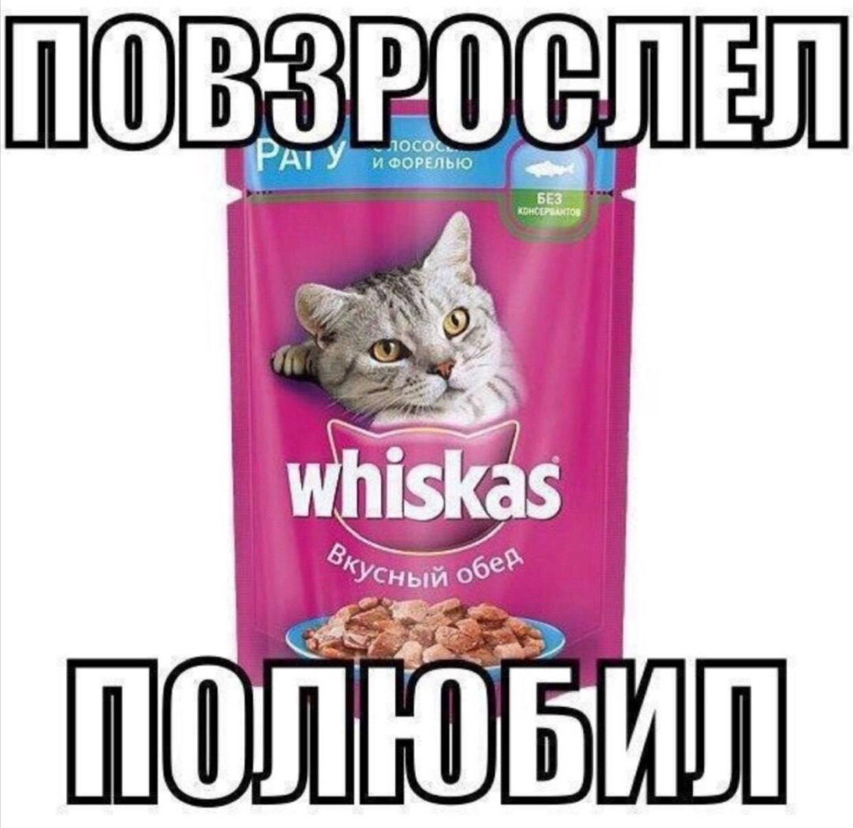 hiskas ПОЛЮБИЛ