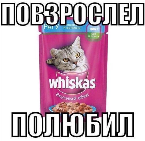 hiskas ПОЛЮБИЛ