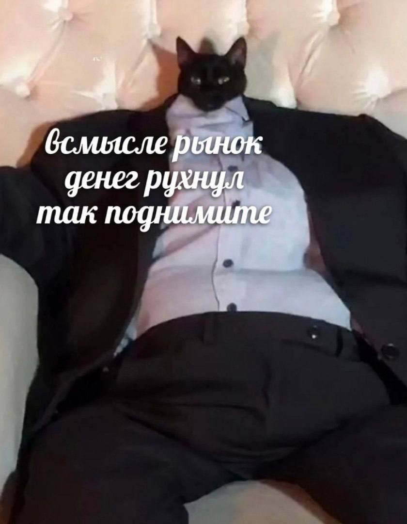 бслиясле рынок денег рухнул так поднимите