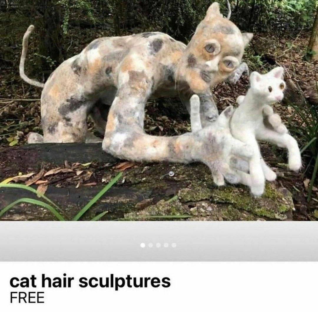cat hair sculptures FREE