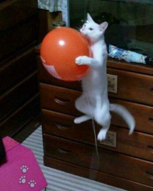 в