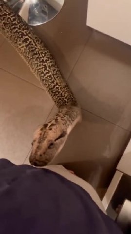 мем