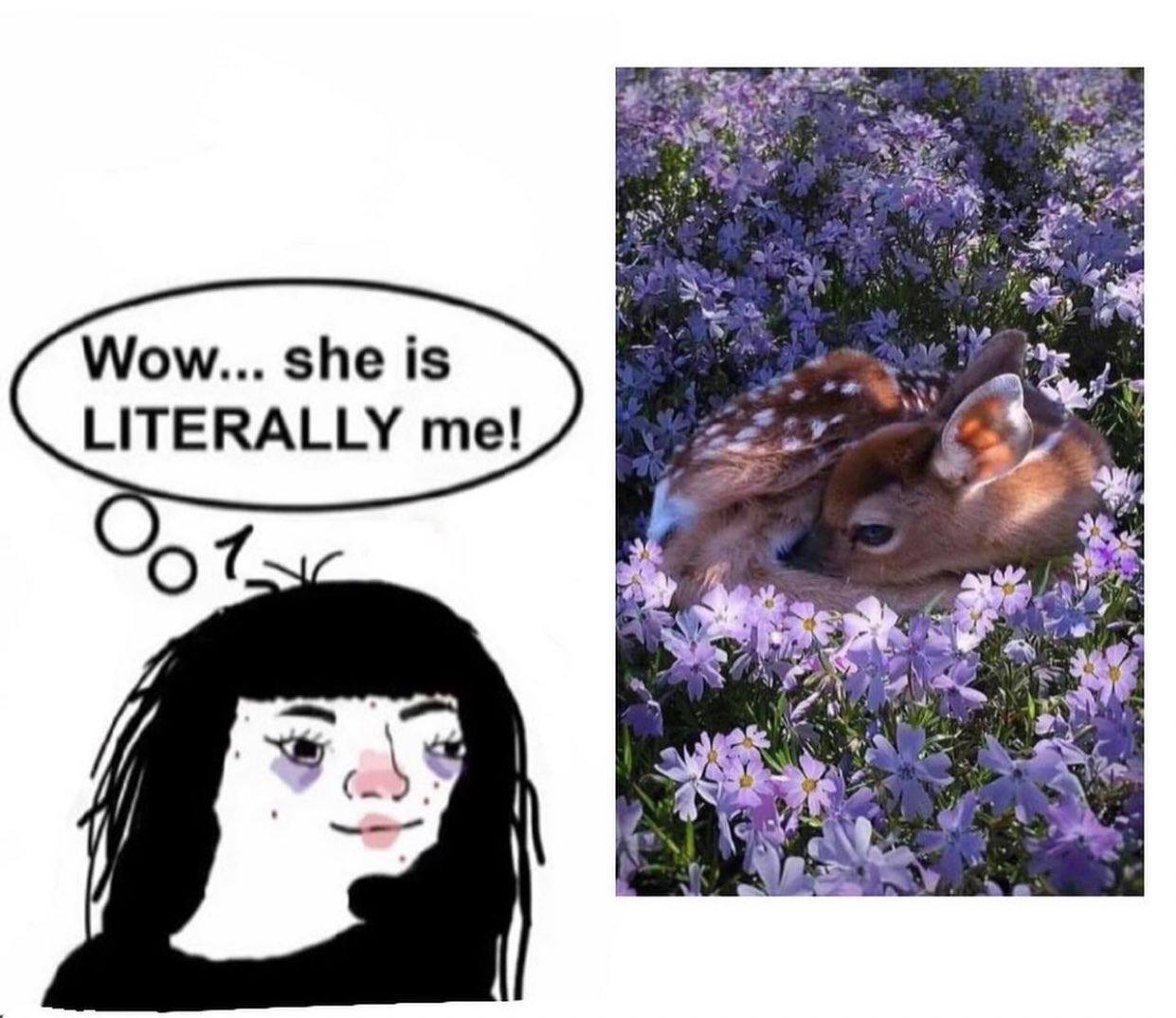 Wow... she is LITERALLY me! 4