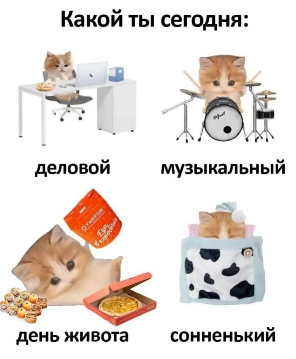 Какой ты сегодня: деловой музыкальный день живота сонненький
