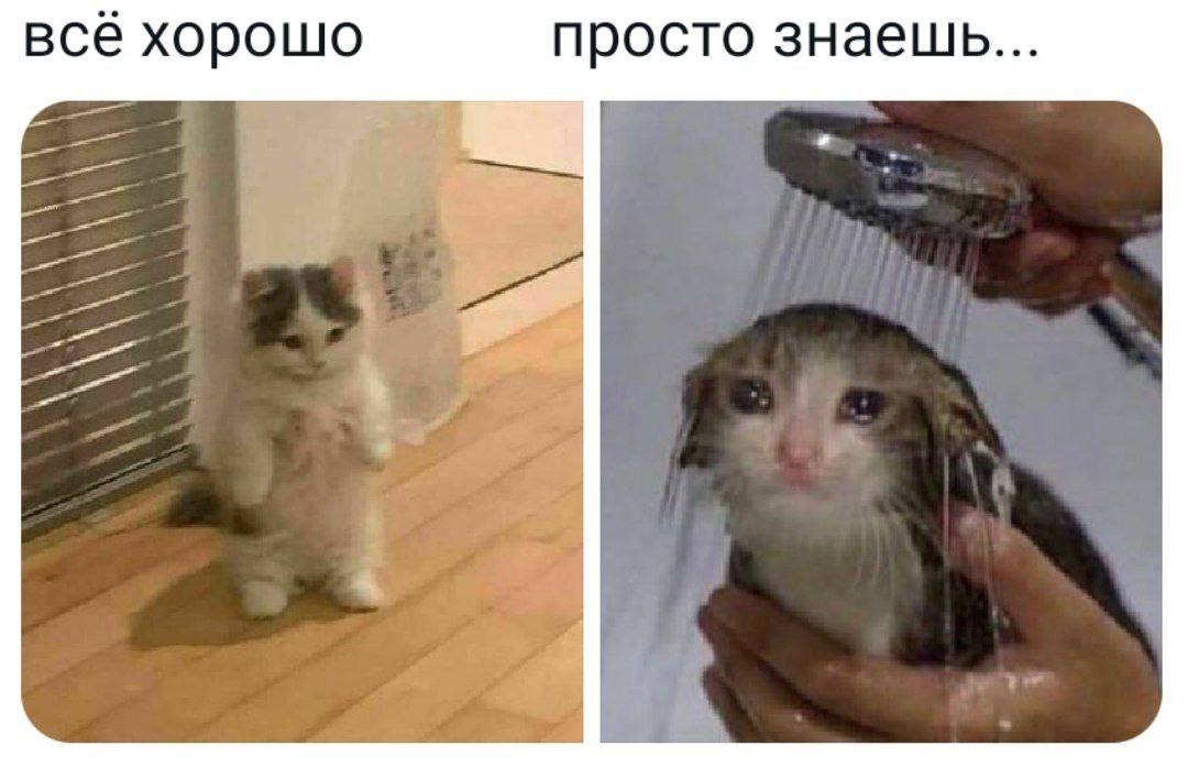 просто знаешь... всё хорошо