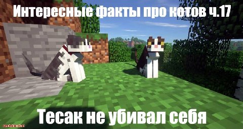 Интересные факты про кетов 4.17 Гесак He убивал себя