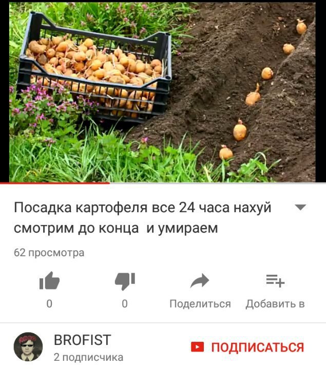 ASMR для белорусов
