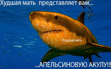 Худшая мать представляет вам... #худшая мать ..АПЕЛЬСИНОВУЮ АКУЛУ!!