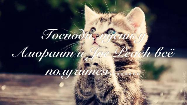 в 4 bce HOLM yuh 9