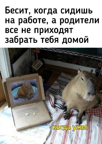 Бесит, когда сидишь на работе, а родители все не приходят забрать тебя домой а