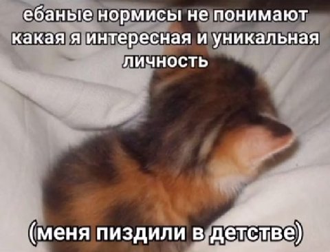 ебаные нормисы! не понимают какая я интересная и уникальная ЛИЧНОСТЬ a (меня пиздили етстве)
